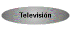 Televisi�n