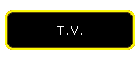 T.V.