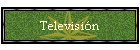Guiones de Televisi�n