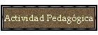 Actividad Pedag�gica