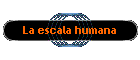 La escala humana