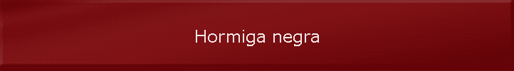 Hormiga negra