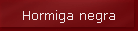 Hormiga negra