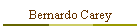 Bernardo Carey