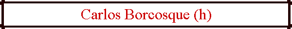 Carlos Borcosque (h)
