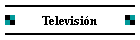 Televisi�n