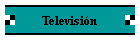 Televisi�n