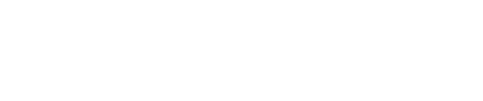 Actividad docente
