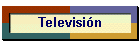 Televisi�n