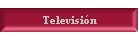 Televisi�n
