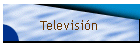 Televisi�n