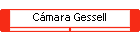 C�mara Gessell