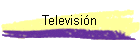 Televisi�n