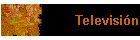 Televisión