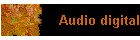 Audio digital