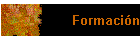 Formaci�n