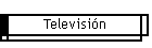 Televisin