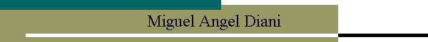 Miguel Angel Diani