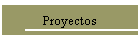 Proyectos