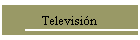 Televisi�n