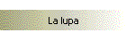 La lupa