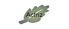 Actriz