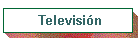 Televisi�n
