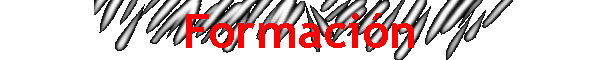 Formaci�n