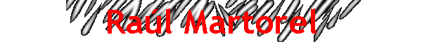 Ra�l Martorel