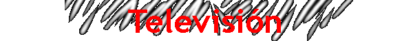 Televisi�n