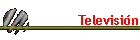 Televisi�n