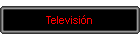 Televisin