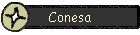 Conesa