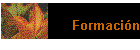 Formacin