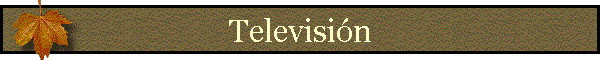 Televisi�n