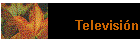 Televisi�n