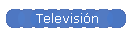 Televisi�n