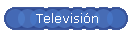 Televisi�n
