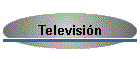 Televisi�n