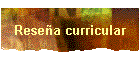 Resea curricular