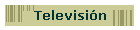Televisin