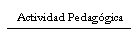 Actividad Pedaggica