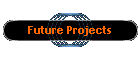 Future Projects