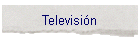 Televisin