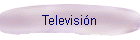 Televisin