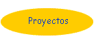 Proyectos