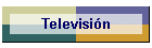 Televisi�n