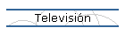 Televisi�n