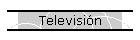 Televisi�n