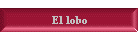 El lobo